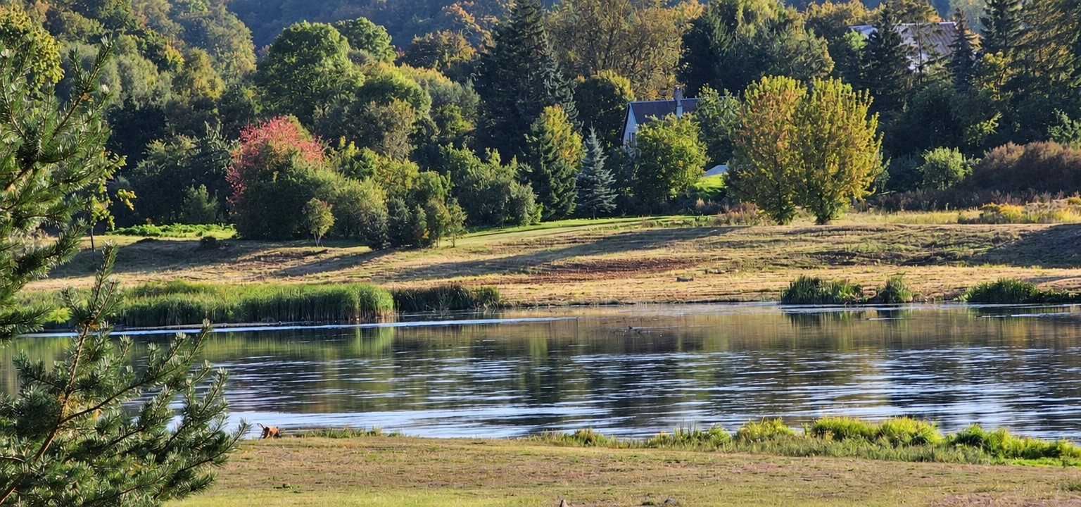 A body of water with grassy banks and a tree-covered slope.