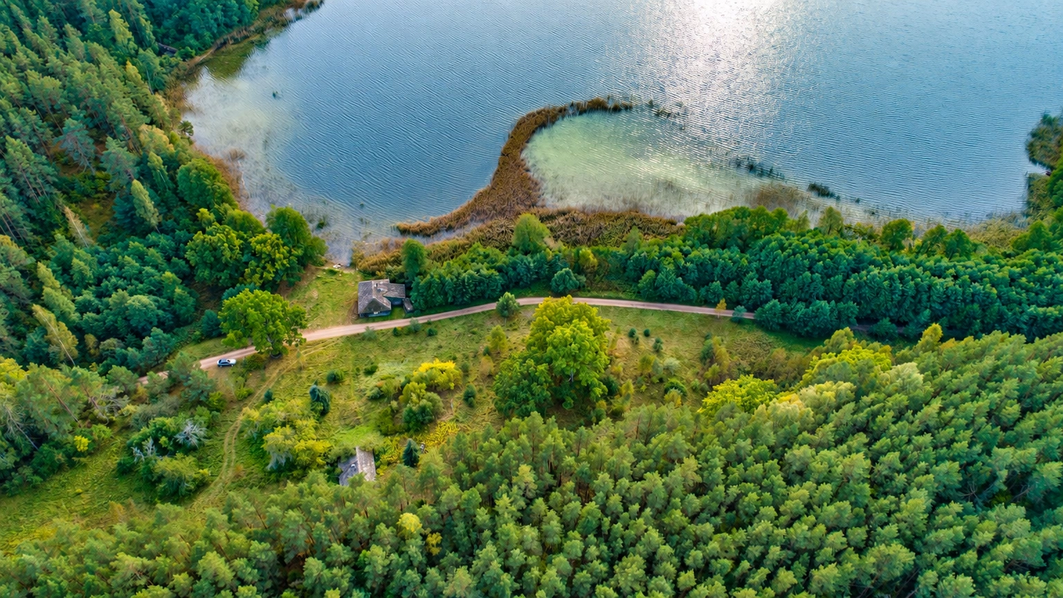 Iš viršaus matyti ežero pakrantė, aplink augantis miškas ir atvira pieva.