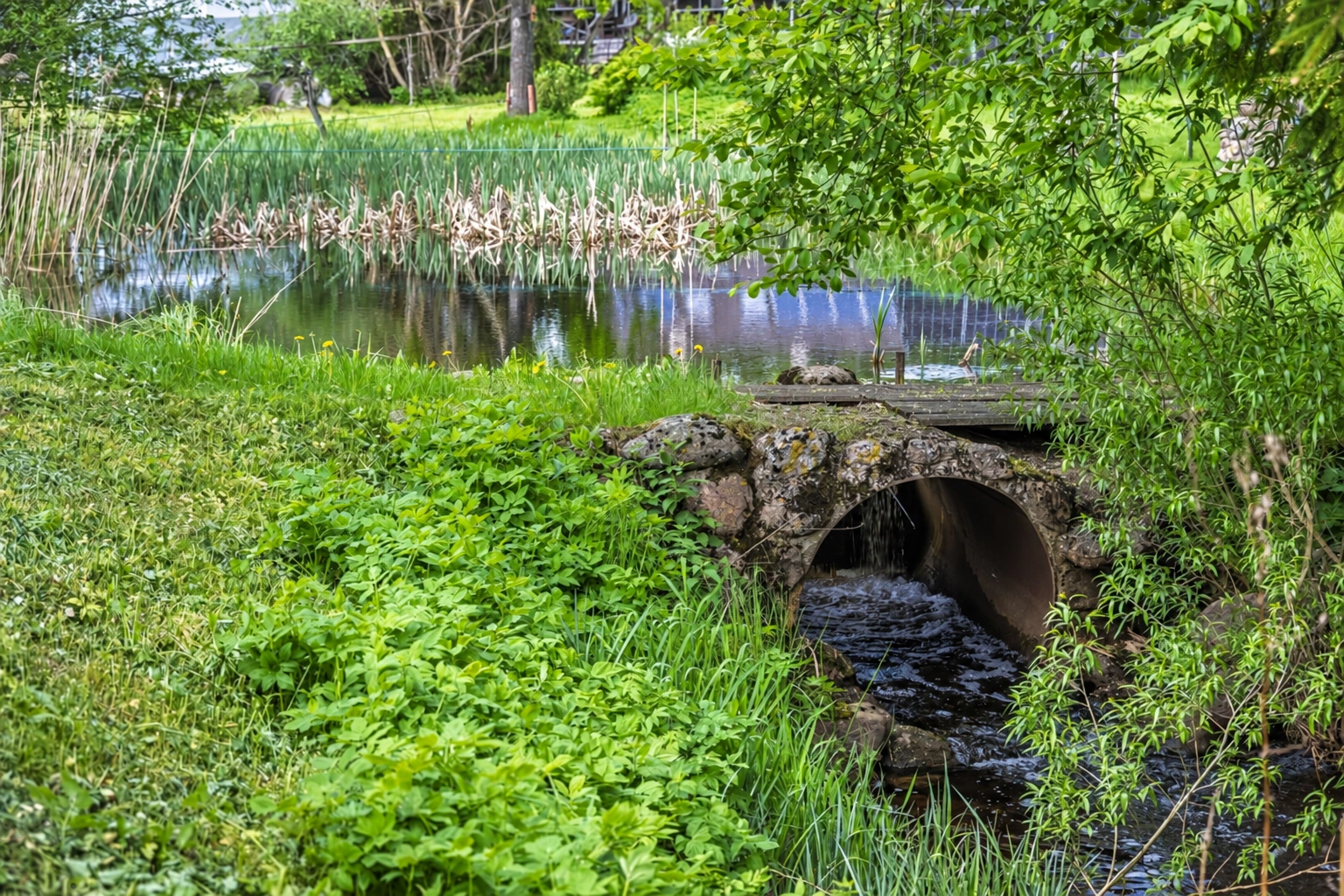 Reeds and a water culvert installed between the stones are visible along the pond’s shore.