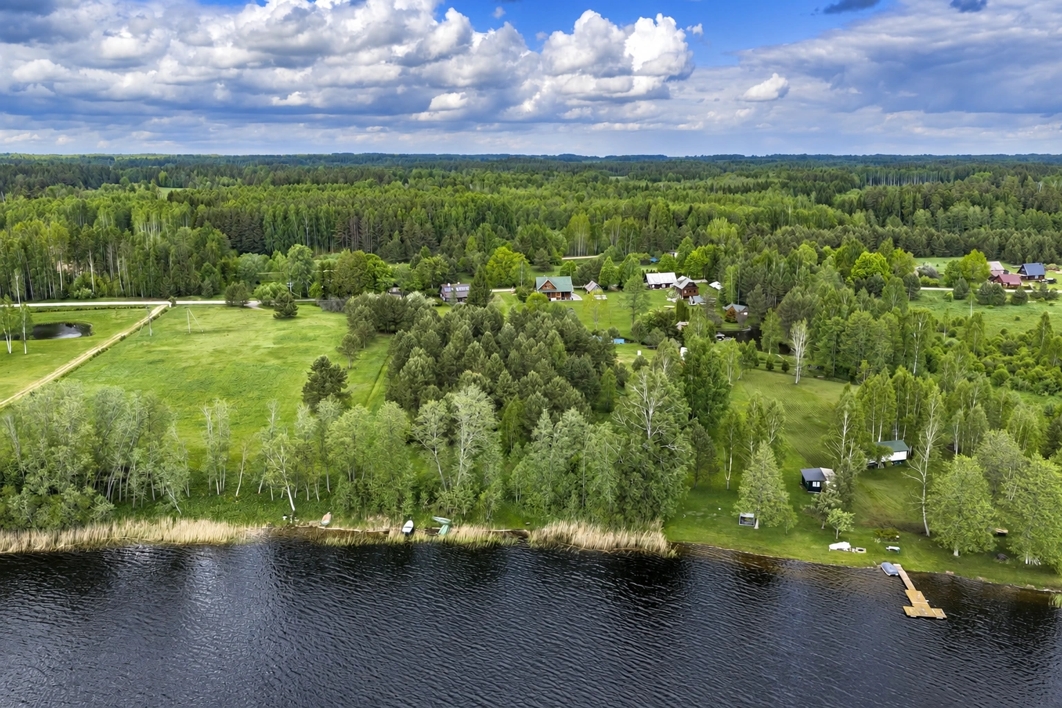 Seen from above are a body of water, a tree-covered shoreline, and houses situated among the trees.