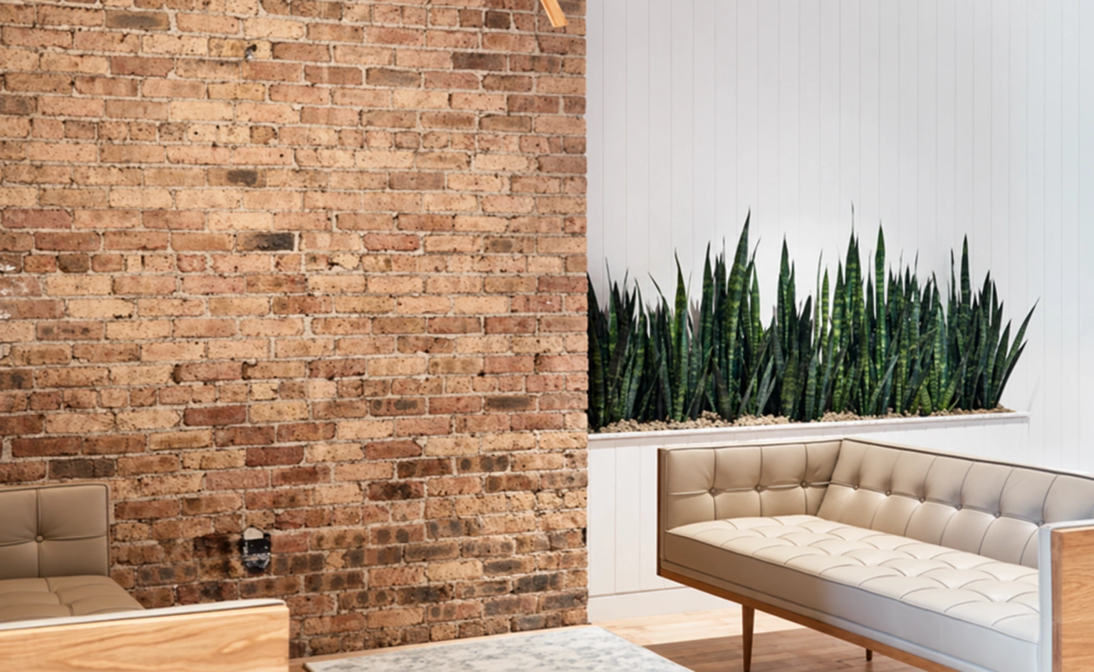 Ein helles Sofa und ein niedriger Tisch; hinter dem Sofa wachsen hohe Pflanzen an der Wand.