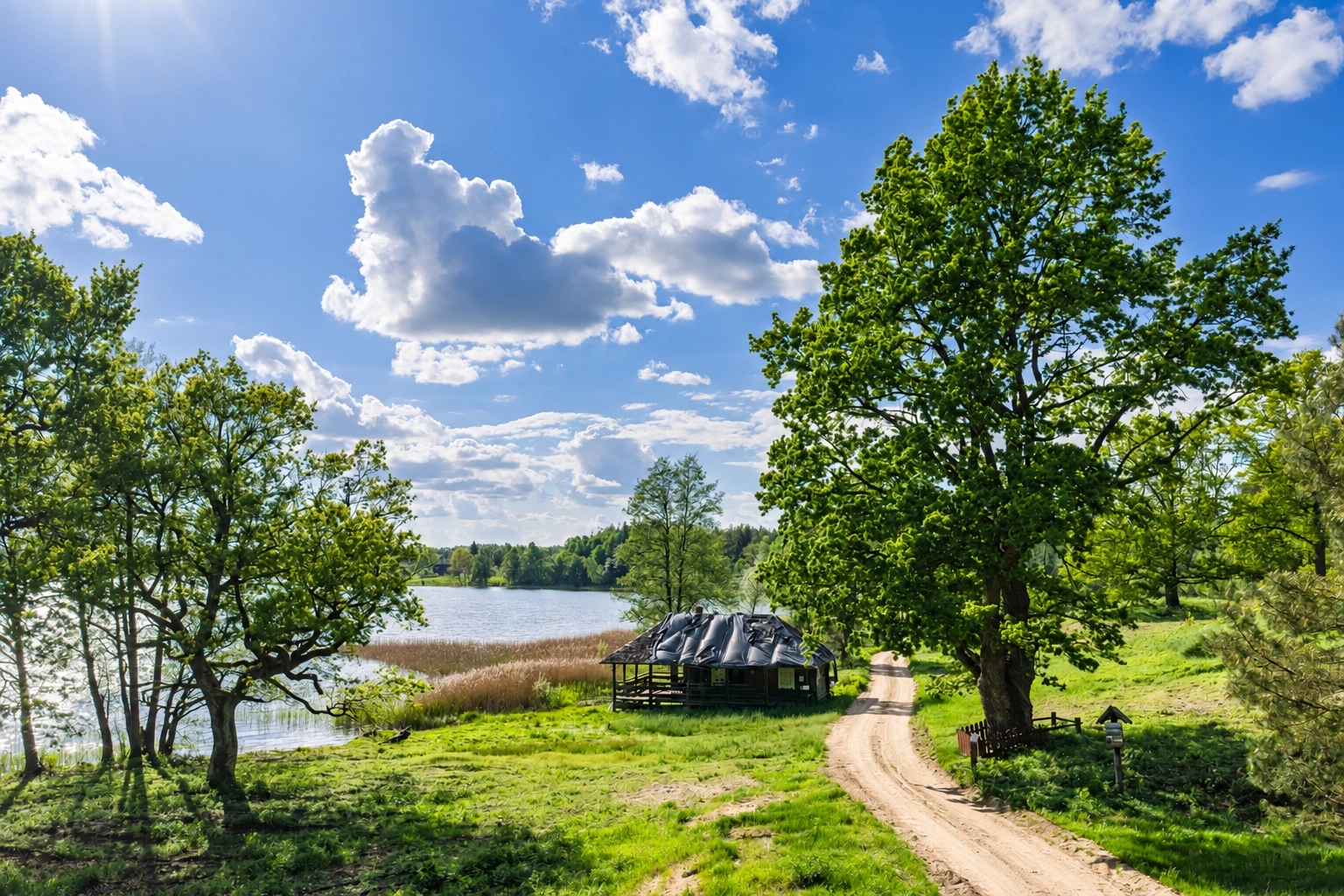 Vandens telkinio pakrantėje stovi pavėsinė, šalia vingiuoja takas tarp medžių.