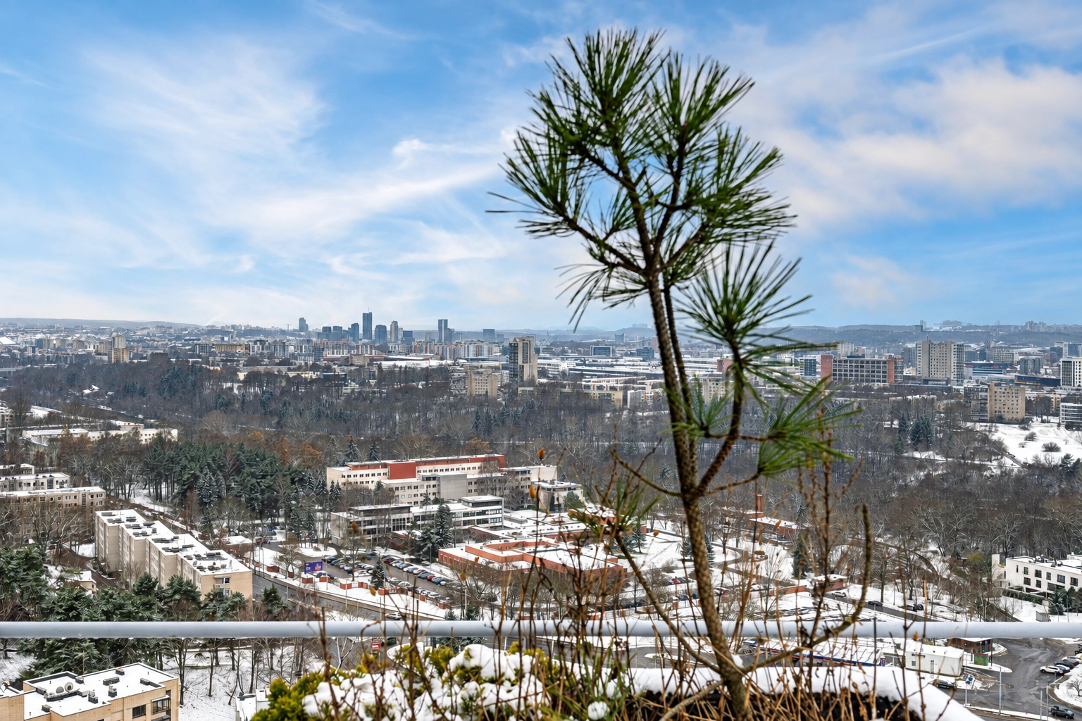 Stadtpanorama mit schneebedeckten Gebäudedächern und Kiefernzweigen im Vordergrund.