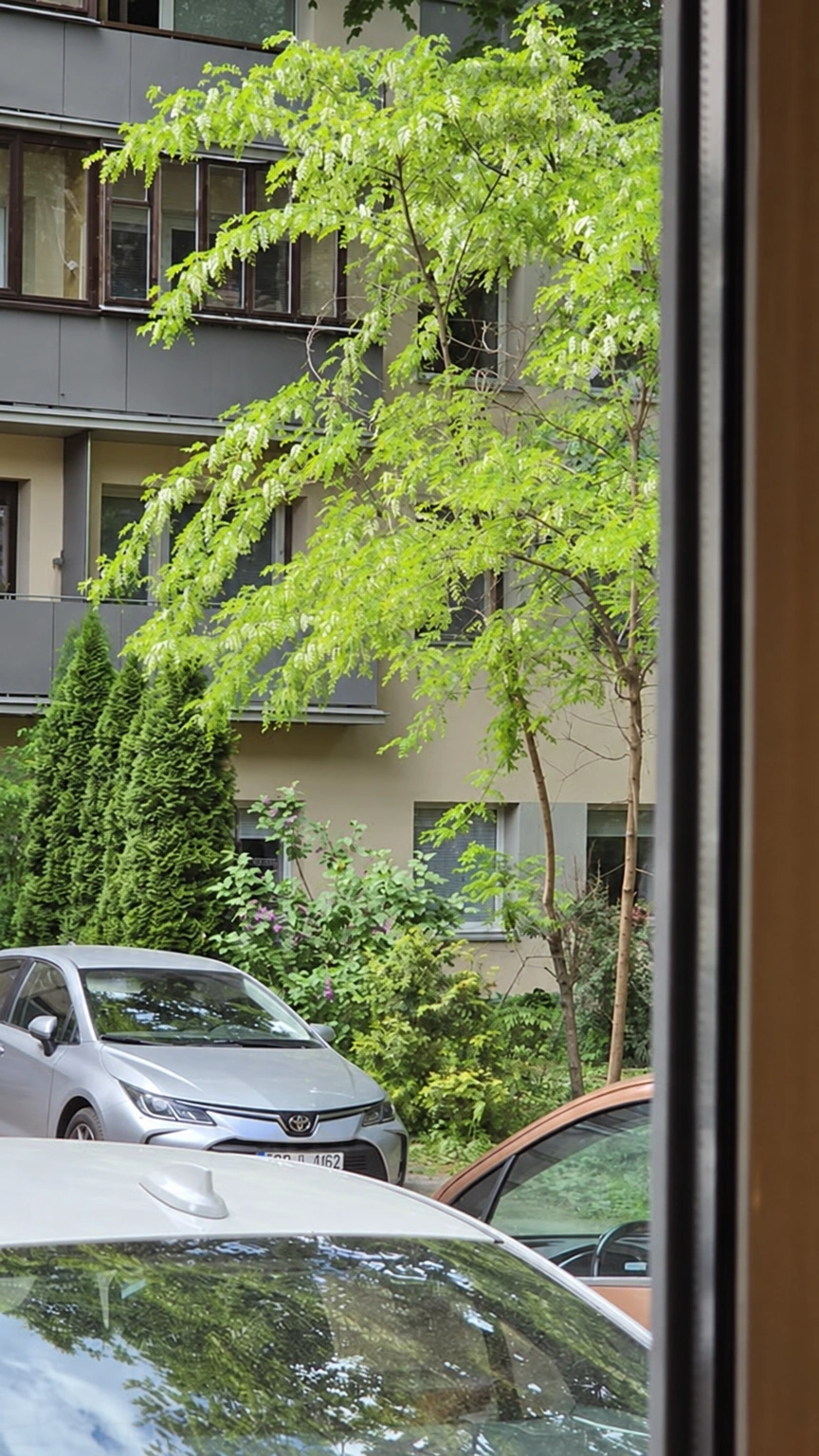 Pro langą matyti automobiliai, žaliuojantys medžiai ir daugiabučio fasadas su balkonais.