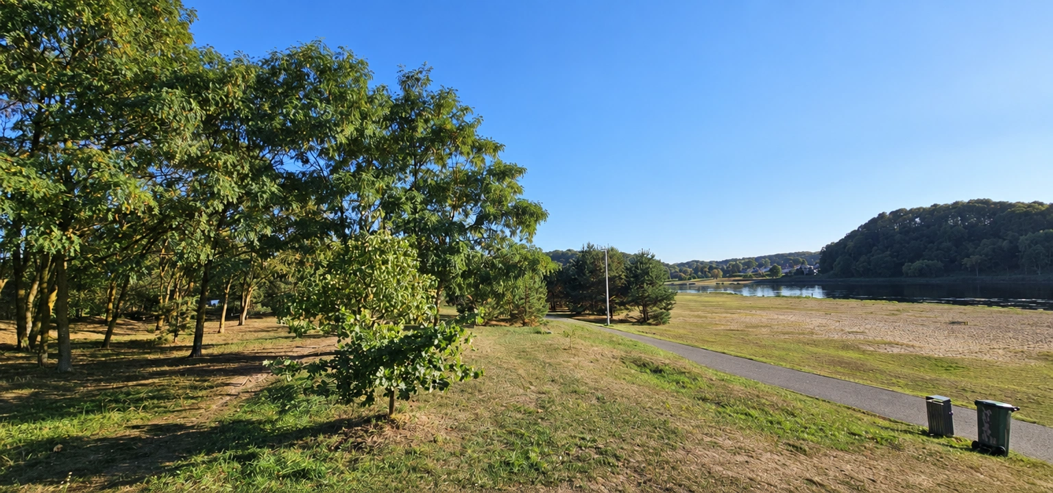 A grassy area with trees on the left and a nearby road.