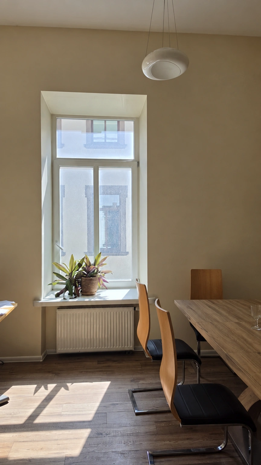 In the room, a table with chairs stands by the window, and there are potted plants on the windowsill.