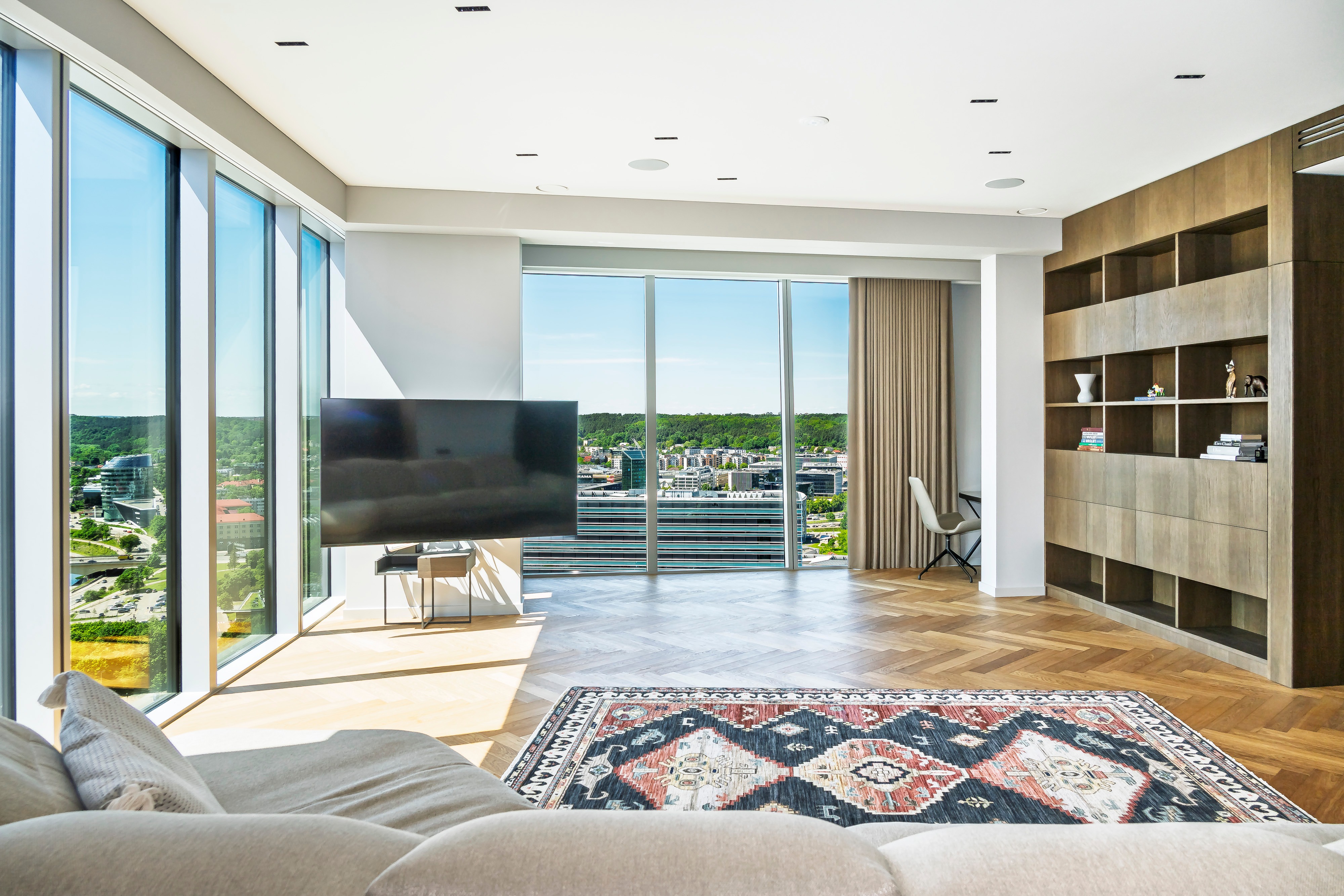Living room with floor-to-ceiling windows and a patterned rug.