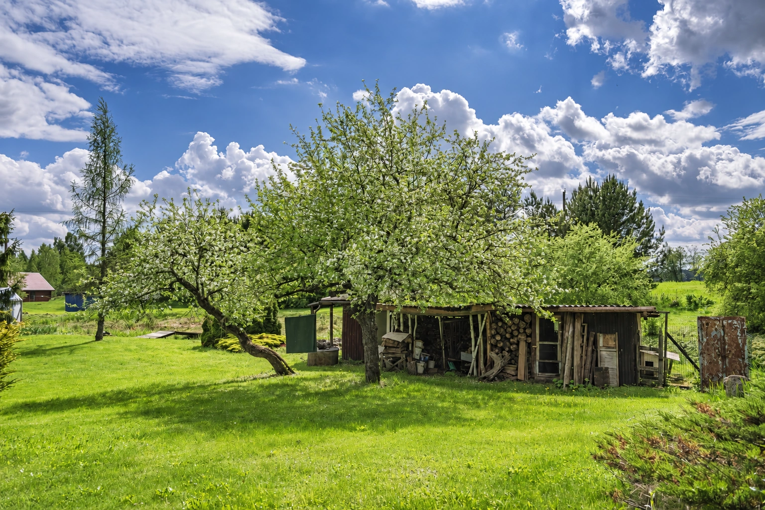 In the yard, a lawn, trees and a small woodshed with stacked firewood can be seen.