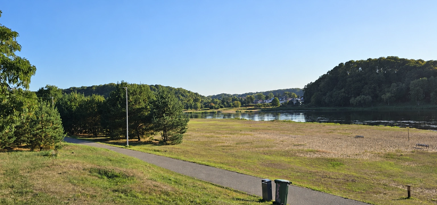 A grassy meadow beside a body of water, with a narrow path visible in the foreground.