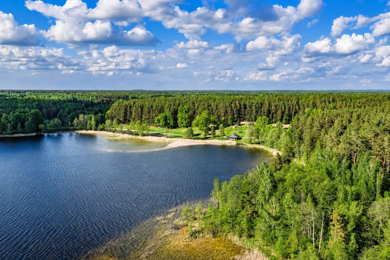 Ežeras su vingiuota pakrante ir jį supančiu tankiu mišku.