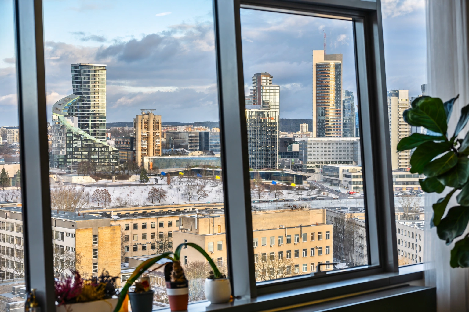 City buildings can be seen through the large windows, and pots with plants stand on the windowsill.