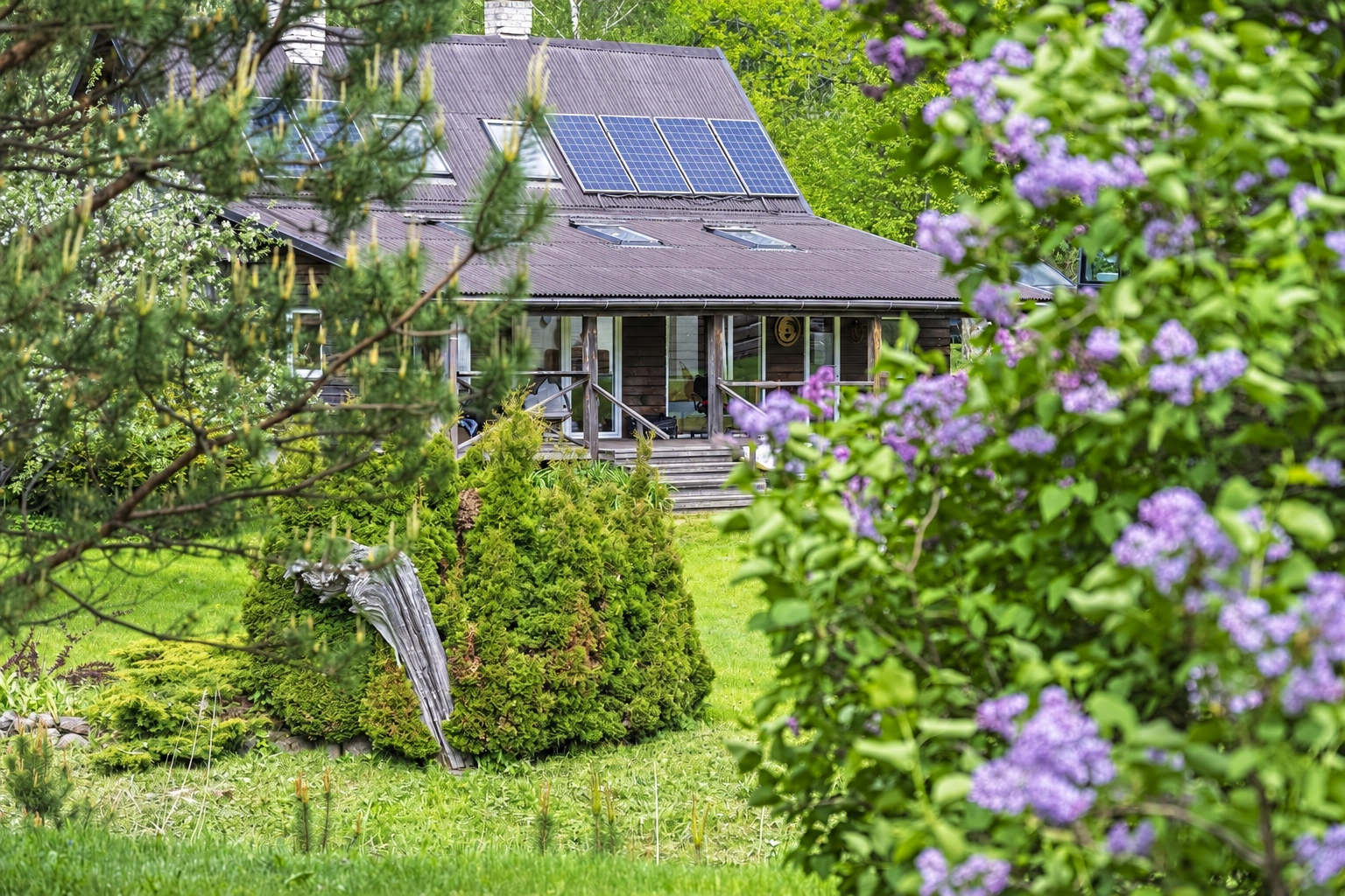 A house with solar panels on the roof, surrounded by a lawn and flowering shrubs.
