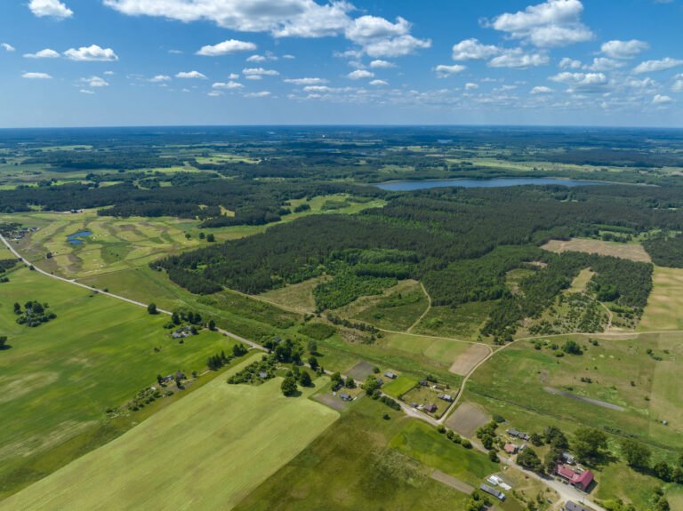 sodyba su mišku druskininkų rajone iš paukščio skrydžio, 24,6 ha sklypas jovaišių kaime